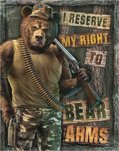 right-to-bear-arms__77091.1625079672.jpg&width=280&height=500