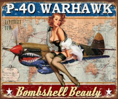 warhawk__31610.1625079693.jpg&width=400&height=500