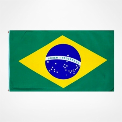 brazil-flag-4572-1.jpg&width=400&height=500