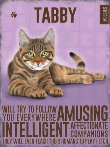 tabby_cat.jpg&width=400&height=500