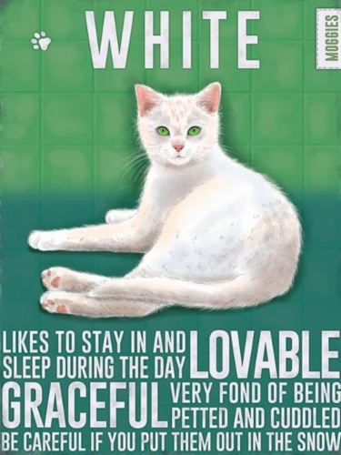 white_cat.jpg&width=280&height=500